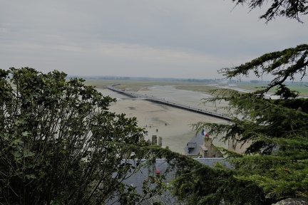 Le Mans 2019 (89)