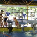 Padercup Tag1-18