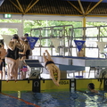 Padercup Tag1-19